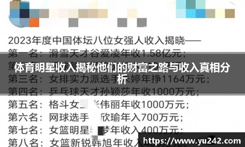 体育明星收入揭秘他们的财富之路与收入真相分析